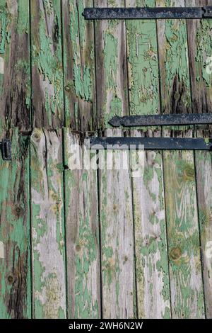 An old barn door with flaking green paint and metal hinges Stock Photo