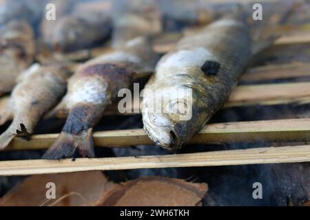 Some of the fish was grilled over the coals of a burning fire at the camp Stock Photo