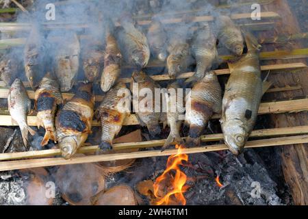 Some of the fish was grilled over the coals of a burning fire at the camp Stock Photo