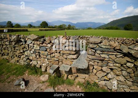 entrance style in dry stone wall in the lake district cumbria england uk Stock Photo