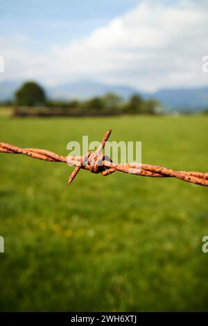 rusty barbed wire on field boundary fence lake district cumbria england uk Stock Photo