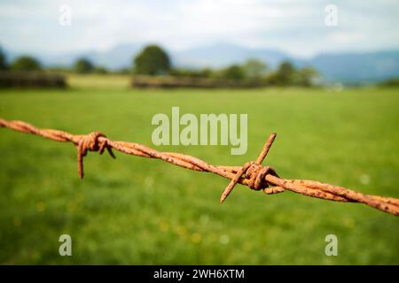 rusty barbed wire on field boundary fence lake district cumbria england uk Stock Photo