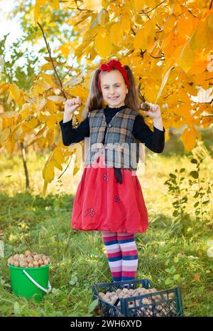 Smiling girl with red headband holds bowl of walnuts with autumn leaves in the background, capturing the essence of fall harvest and childhood joy. Au Stock Photo