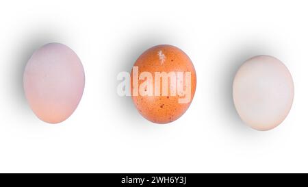 Whole chicken eggs of various shapes and colors on a white background clipping path Stock Photo