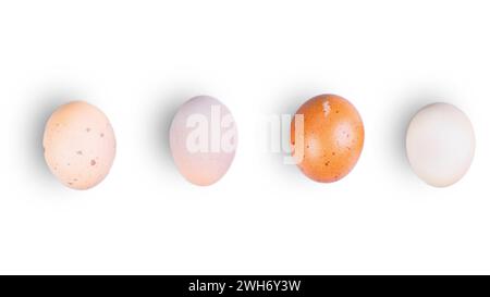 Whole chicken eggs of various shapes and colors Stock Photo