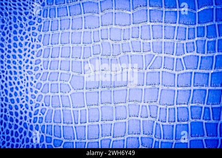 Blue snake skin as a background. Stock Photo