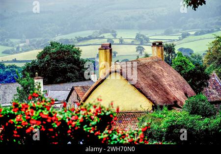 Old cottage in Selworthy, Exmoor, Somerset, England, United Kingdom, Europe, 2001 Stock Photo