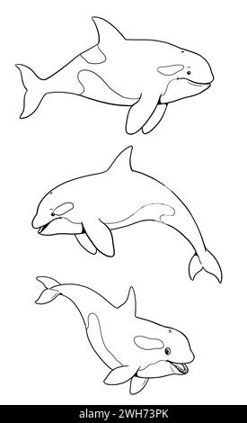 Set with three funny orcas to color in. Template for a coloring book with funny animals. Coloring template for kids. Stock Photo