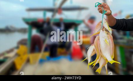Fresh snapper caught by fishermen on a blurred background from a fishing boat. Snapper is spread in almost all Indonesian waters Stock Photo