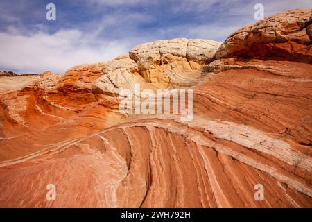 Colorful eroded Navajo sandstone in the White Pocket Recreation Area, Vermilion Cliffs National Monument, Arizona.  Cross-bedding is shown here. Stock Photo