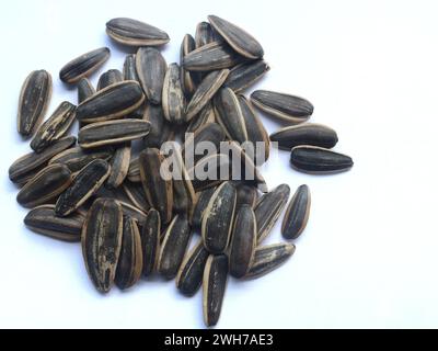 Dried seeds of sunflower fruit isolated on white background Stock Photo