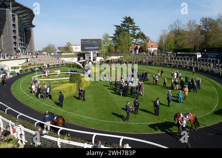 Ascot, Berkshire, UK. 3rd May, 2023.  The Parade Ring at Ascot Racecourse at the Royal Ascot Trials Day Presented by Howden. Credit: Maureen McLean/Alamy Stock Photo