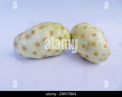 Two noni or morinda fruit seeds isolated on white background Stock Photo