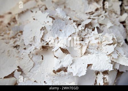 stripped paint shavings from a painted wall in the uk Stock Photo