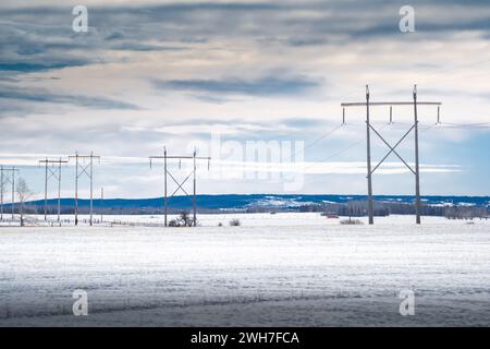 Line of large wooden power poles holding transmission lines across snow covered agriculture fields overlooking rolling hills in Western Canada in Rock Stock Photo