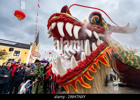 Dietfurt, Germany. 08th Feb, 2024. A Chinese dragon can be seen in the parade at the traditional Chinese carnival. As every year on 'Nonsensical Thursday', jesters dressed as Asians parade through the town. The Chinese carnival goes back to a legend according to which the people of Dietfurt simply left a tax collector standing outside the town wall in the Middle Ages. The treasurer is said to have subsequently complained to the bishop, his employer, that the people of Dietfurt were hiding behind their wall 'like the Chinese'. Credit: Armin Weigel/dpa/Alamy Live News Stock Photo