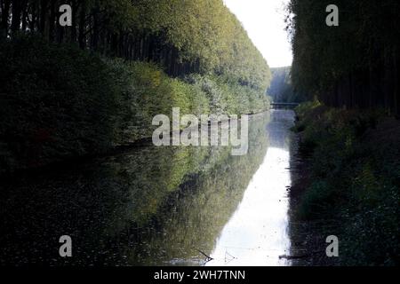 Schipdonk Canal near Moerkerke, Schipdonkvaart, Damme, Flanders, Belgium, Europe Stock Photo