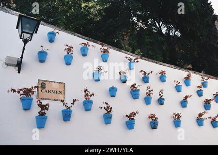 flower pots on a wall in Marbella in Andalusia, Spain, on August 2, 2017 Stock Photo