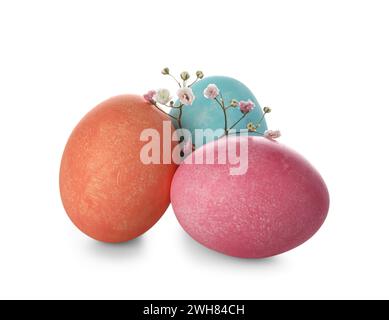 Easter eggs with gypsophila flowers on white background Stock Photo