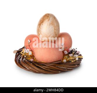 Easter eggs in nest on white background Stock Photo