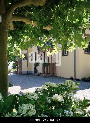 Summer vignette in the famous landmark Vollrads Castle Winery Estate in the Rheingau region of Germany, near Rudesheim tourist town. Stock Photo