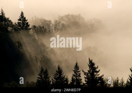 Willamette Valley fog from Mt Pisgah summit, Howard Buford County Park, Oregon Stock Photo