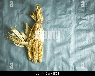 Dried corn on the cobb on silver background Stock Photo