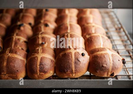 Freshly baked fruit hot cross buns made with yeast and sourdough cooling on a rack on a bakery trolley Stock Photo