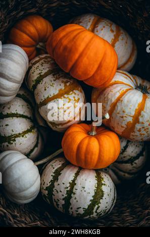 White and orange Pumpkins in a basket Stock Photo