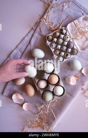 Araucana Chicken Free Range Eggs, including blue and green colors, with Japanese Jumbo Quail Eggs Flatlay. Stock Photo