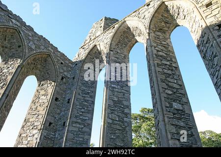 Ruined monastic site in Ireland, ruined buildings and columns of medieval Cistercian monastery at Inch Abbey Downpatrick Northern Ireland in summer. Stock Photo
