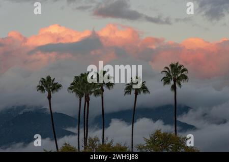 . Stock Photo