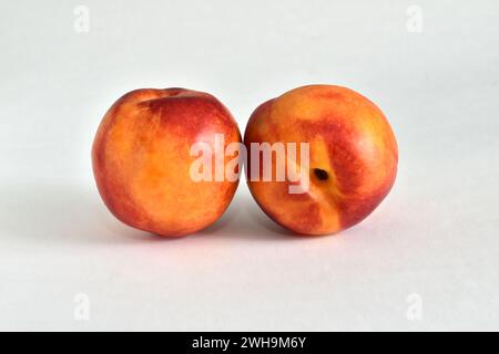 Two juicy, tasty, vitamin-rich nectarine fruits lie on a white background. Stock Photo