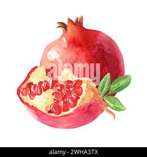 Hand drawn watercolor pomegranate composition, colorful naturalistic fruit illustration isolated on white background. Stock Photo