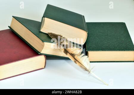 The photo shows a bird feather, which was once used to write voluminous books. Stock Photo