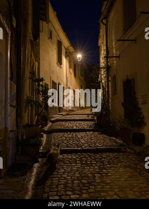 Arles, France - March 7, 2023: Empty street in the center of Arles (France) in the night, black and white Stock Photo