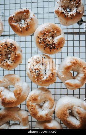 Sourdough bagels on rack, everything or plain Stock Photo