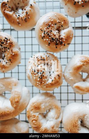 Sourdough bagels on rack, everything or plain Stock Photo