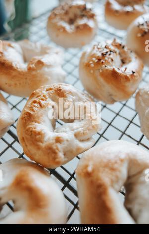 Sourdough bagels on rack, everything or plain Stock Photo
