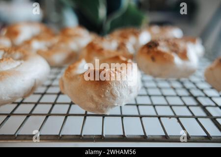 Sourdough bagels on rack, everything or plain Stock Photo
