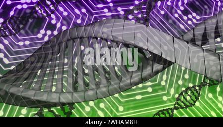 Image of dna strands over network of connections Stock Photo