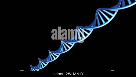 Image of dna strand spinning with copy space over black background Stock Photo