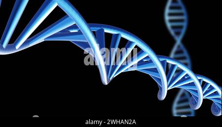 Image of dna strands spinning with copy space over black background Stock Photo