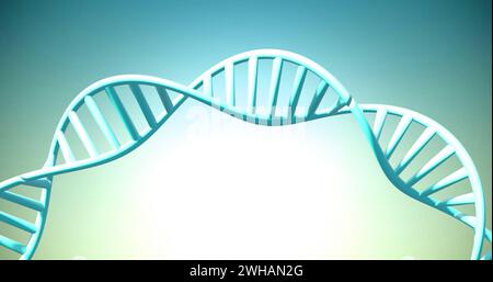 Image of dna strand spinning with copy space over green background Stock Photo