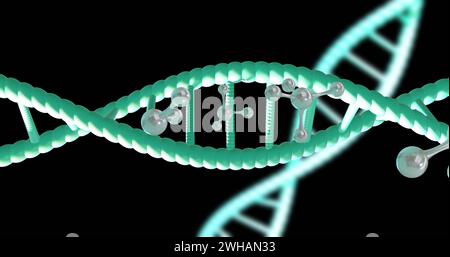 Image of dna strands spinning with copy space over black background Stock Photo