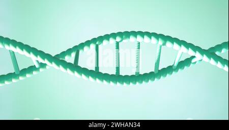 Image of dna strand spinning with copy space over green background Stock Photo