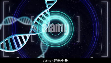 Image of dna strands spinning with data processing over black background Stock Photo