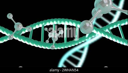 Image of dna strands spinning with copy space over black background Stock Photo