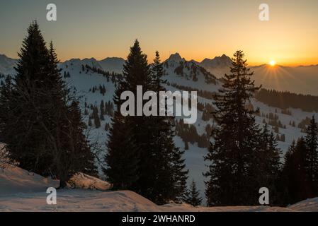 Golden winter sunset behind trees in the snowy swiss mountains Stock Photo