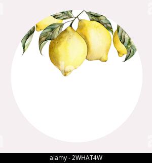 Hand-drawn watercolor illustration with lemon on a branch with leaves. Composition for decoration and design posters, postcards, banners Stock Photo